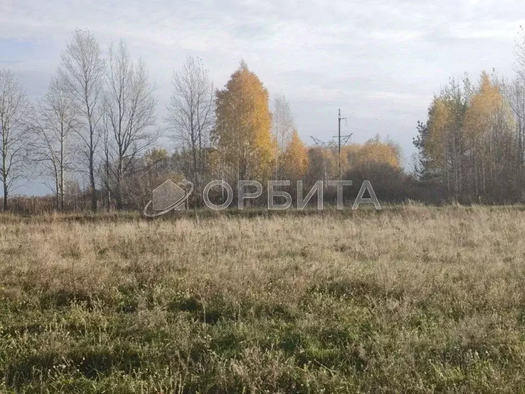 Участок в Тюменская область, Тюменский муниципальный округ, с. Борки  ... - Фото 1