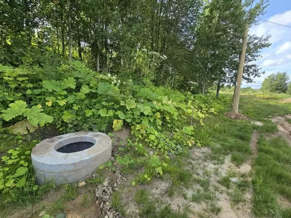 Участок в Коми, Сыктывдинский район, с. Выльгорт Рабочая ул. (17.0 ... - Фото 2