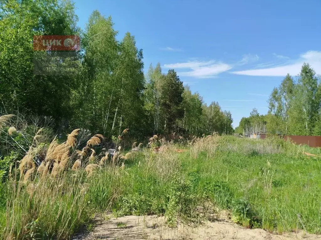 Участок в Рязанская область, Рязанский район, Дубровическое с/пос, с. ... - Фото 2