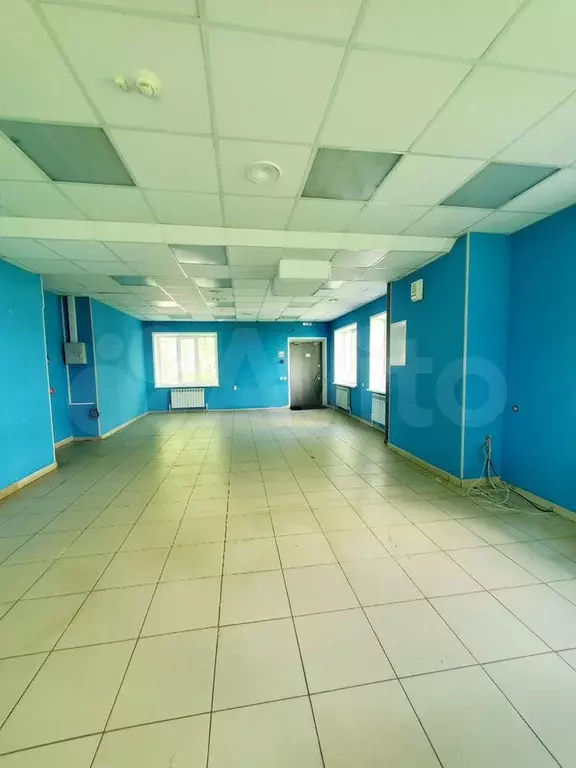 Свободного назначения, 50 м - Фото 0