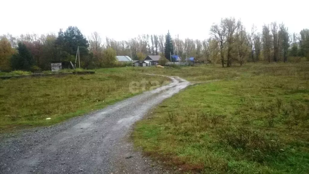 Участок в село Ая, Советская улица (41 м) - Фото 2