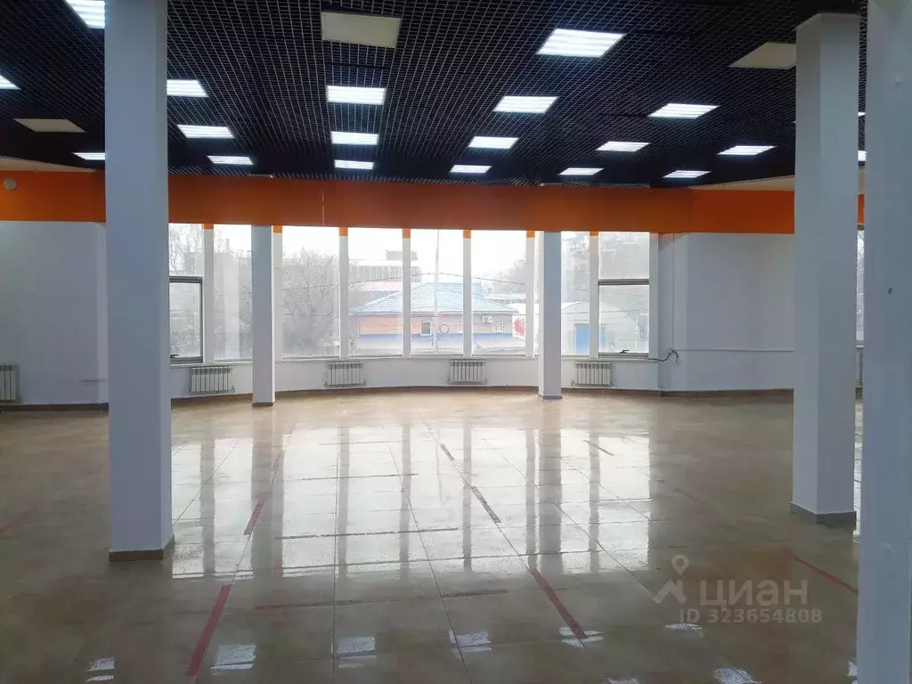 Торговая площадь в Московская область, Балашиха Щелковское ш., 141Б ... - Фото 1