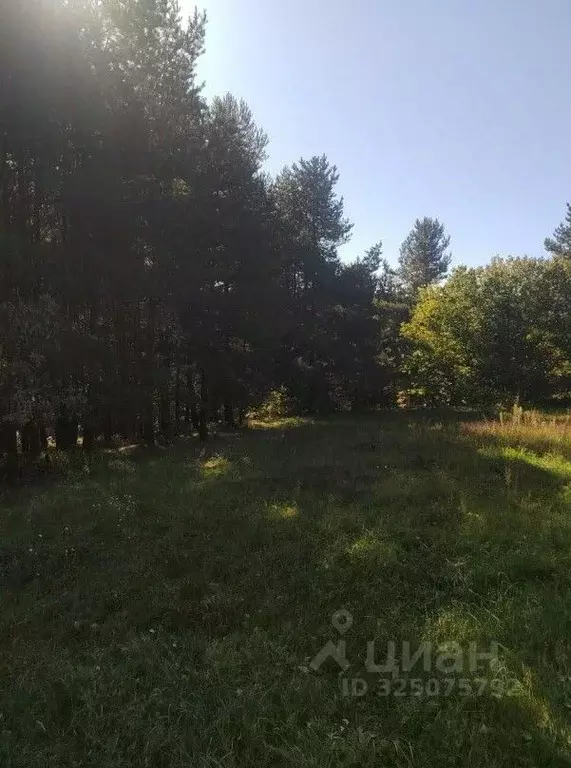 Участок в Московская область, Коломна городской округ, с. Комарево  ... - Фото 0