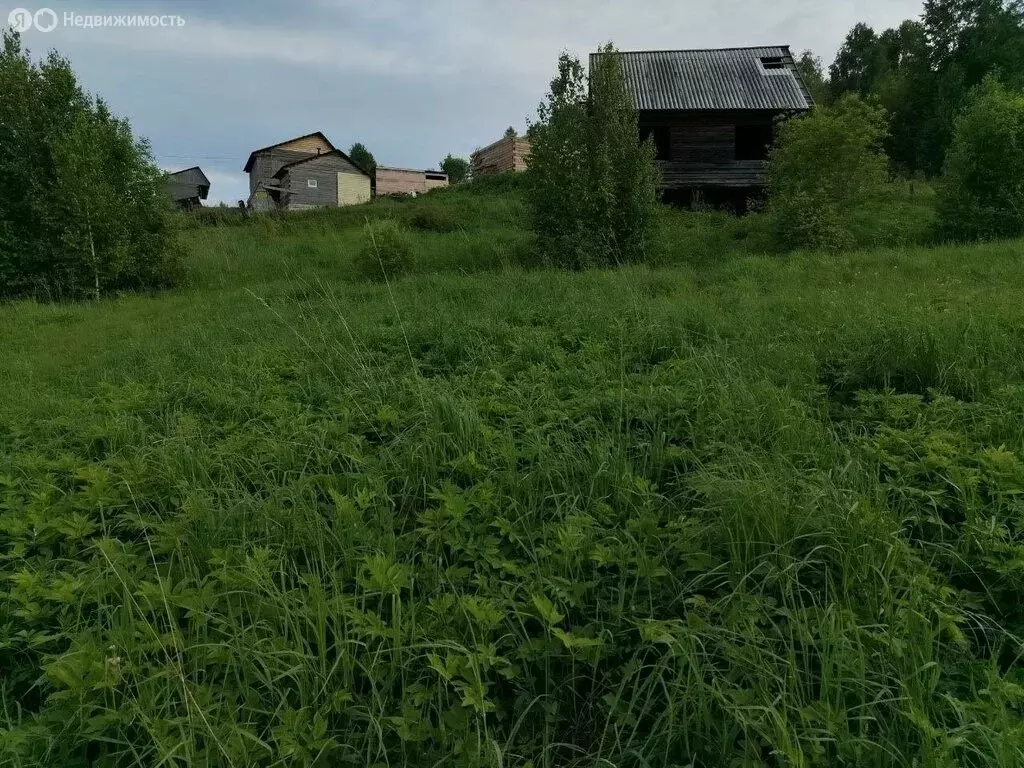 Участок в Алфёрово, Центральная улица, 31А (11 м) - Фото 2