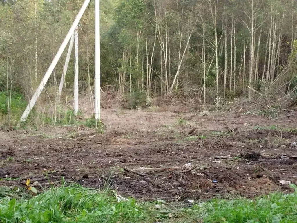 Участок в Ленинградская область, Тосно г. Тосненский район, Тосненское ... - Фото 1