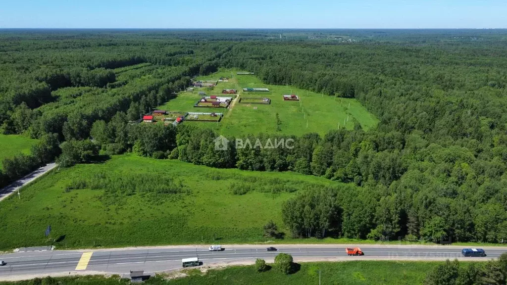 Участок в Владимирская область, Судогодский район, Медовая поляна дп  ... - Фото 1