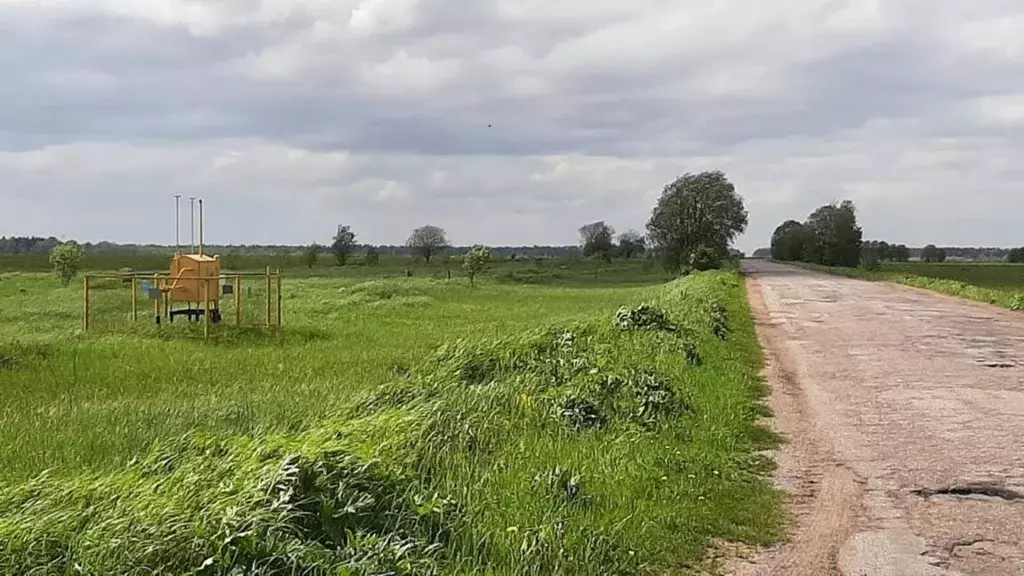 Участок в Ленинградская область, Волосовский район, Большеврудское ... - Фото 0