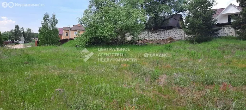 Участок в Спасский район, Панинское сельское поселение, деревня ... - Фото 1