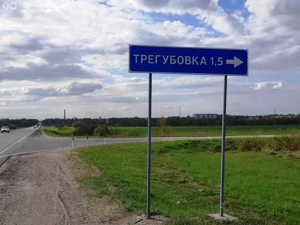Участок в Смоленская область, Руднянский муниципальный округ, посёлок ... - Фото 1