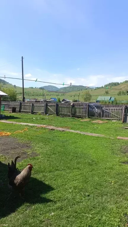 Дом в Алтай, Шебалинский район, с. Камлак Партизанская ул. (40 м) - Фото 2