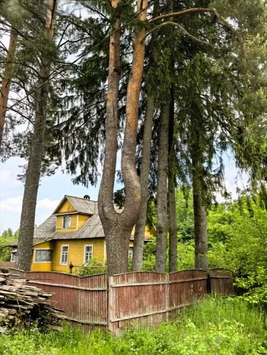 Дом в Ленинградская область, Гатчинский муниципальный округ, Вырица ... - Фото 2