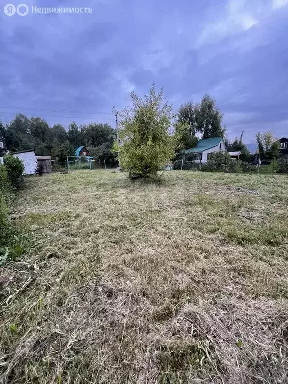 Участок в Мичуринский сельсовет, садовое некоммерческое товарищество ... - Фото 2