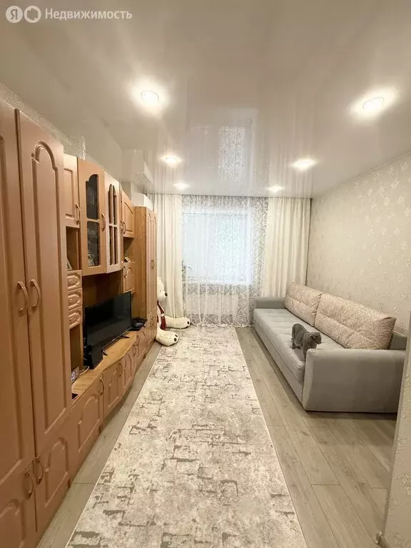 1-комнатная квартира: Тамбов, Запрудная улица, 4 (36 м) - Фото 1