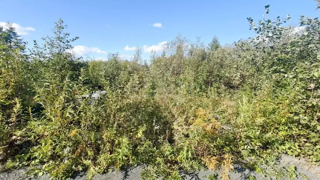 Участок в Сахалинская область, Южно-Сахалинск Эврика СНТ, 14 (10.0 ... - Фото 1