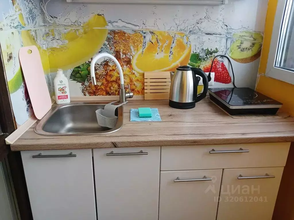 Студия Новосибирская область, Новосибирск Академгородок мкр, ул. ... - Фото 0