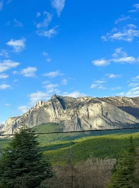 Дом в Крым, Ялта муниципальный округ, Гаспра пгт ул. Горького, 80 (122 ... - Фото 1