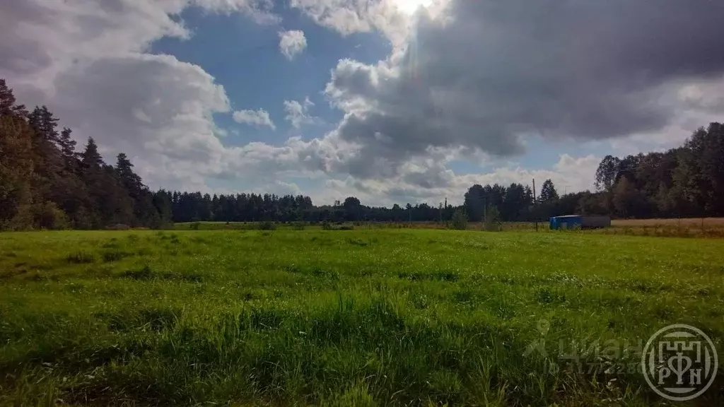 Участок в Ленинградская область, Выборгский район, Красносельское ... - Фото 0