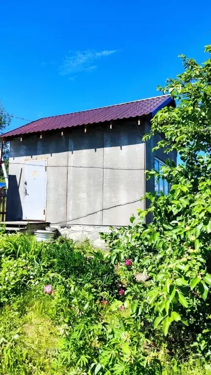 Участок в Свердловская область, Екатеринбург Черемушка СТ, 100 (3.5 ... - Фото 2