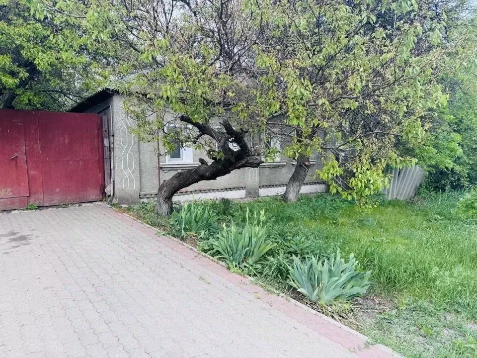 Дом в Белгородская область, Валуйки пер. Пушкина (40 м) - Фото 1
