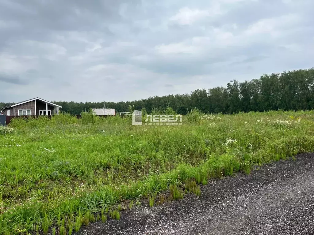 Участок в Московская область, Домодедово городской округ, с. Юсупово ... - Фото 2