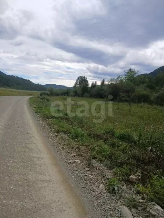 Участок в Алтай, Усть-Канский район, с. Черный Ануй  (210.0 сот.) - Фото 1