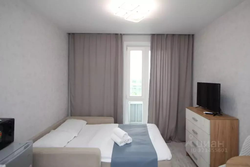 Студия Новосибирская область, Новосибирск ул. Забалуева, 102/1 (22.0 ... - Фото 1