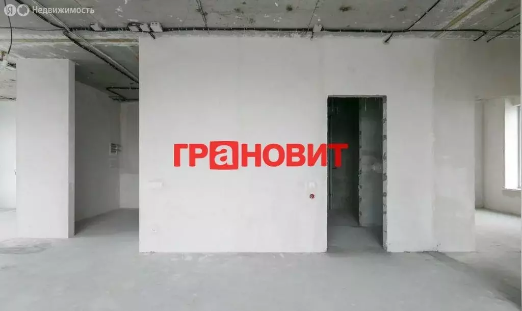 3-комнатная квартира: Новосибирск, улица Фрунзе, 1А (99.4 м) - Фото 2