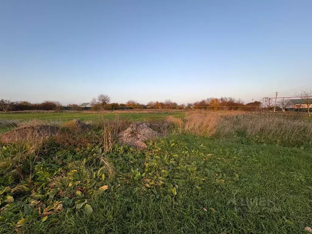 Участок в Краснодарский край, Ейский район, с. Кухаривка ул. Победы ... - Фото 1
