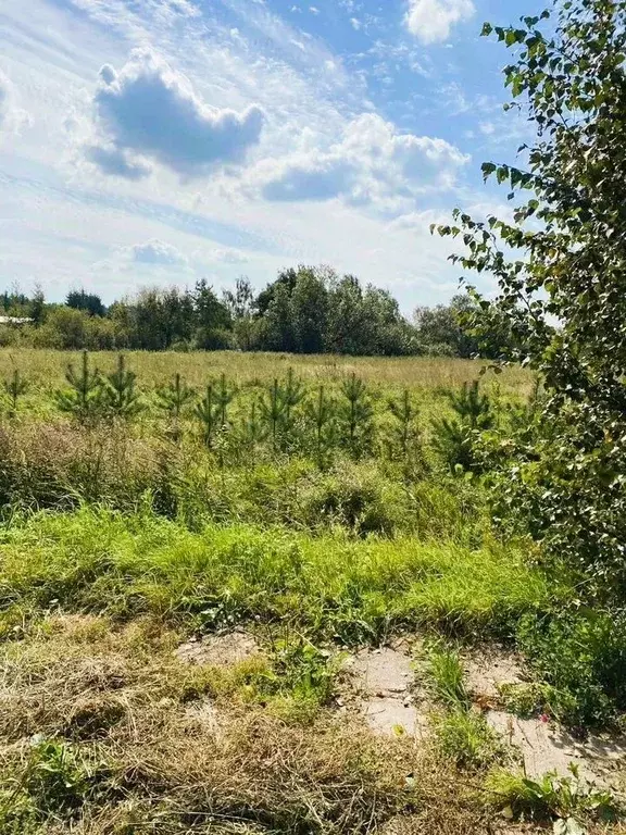 Участок в Ленинградская область, Ломоносовский район, Низинское с/пос, ... - Фото 1