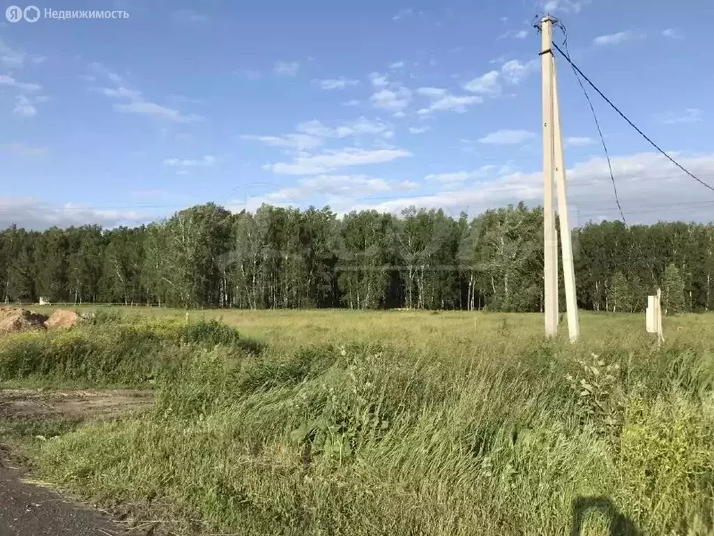 Участок в Тюменская область, Заводоуковск (15 м) - Фото 0