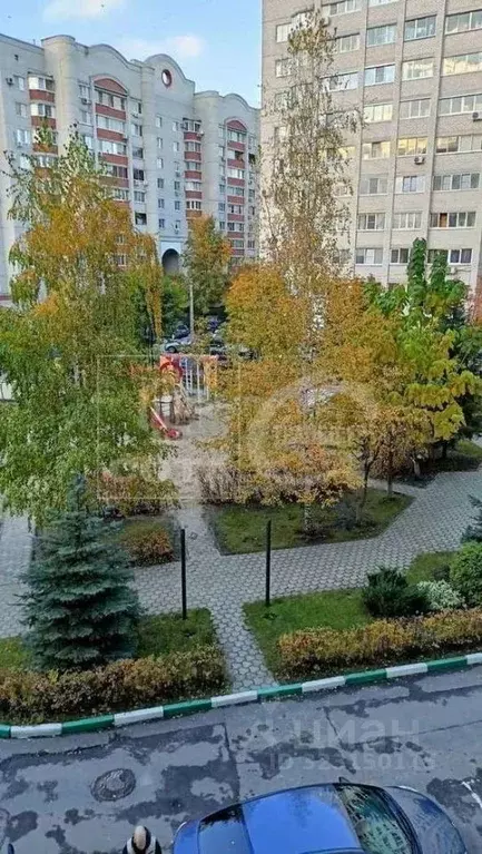 3-к кв. Воронежская область, Воронеж ул. Владимира Невского, 31Б (86.0 ... - Фото 1