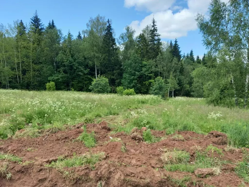 Участок в Московская область, Дмитровский муниципальный округ, пос. ... - Фото 2