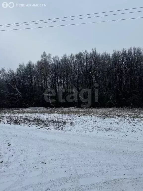 Участок в Тульская область, городской округ Тула, посёлок Ильинка, ... - Фото 1