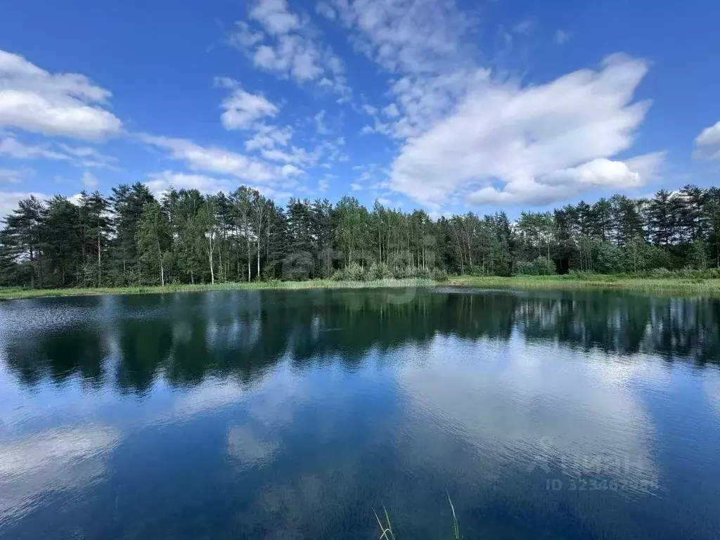 Дом в Тверская область, Калининский муниципальный округ, д. Трояново ... - Фото 1