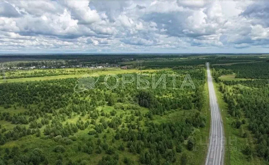 Участок в Свердловская область, Слободо-Туринский район, ... - Фото 1