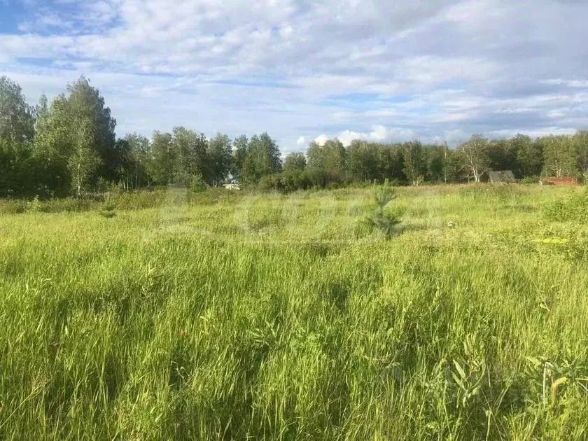 Участок в Тюменская область, Ялуторовский район, Березка СОНТ  (15.0 ... - Фото 0