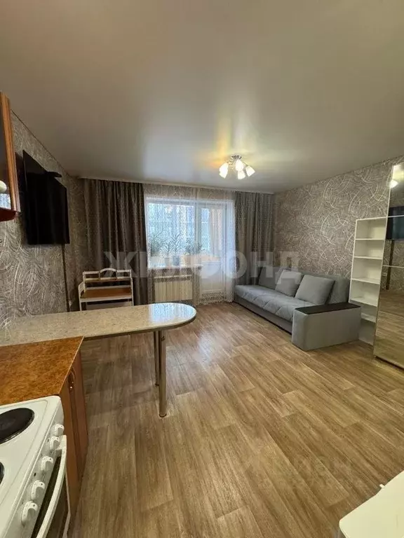 Студия Новосибирская область, Новосибирский район, Краснообск рп, 2-й ... - Фото 1