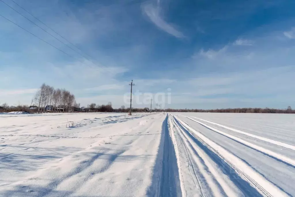 Участок в Алтайский край, Красногорский район, с. Березовка ул. ... - Фото 1