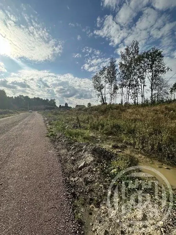 Участок в Ленинградская область, Всеволожский район, Колтушское ... - Фото 2