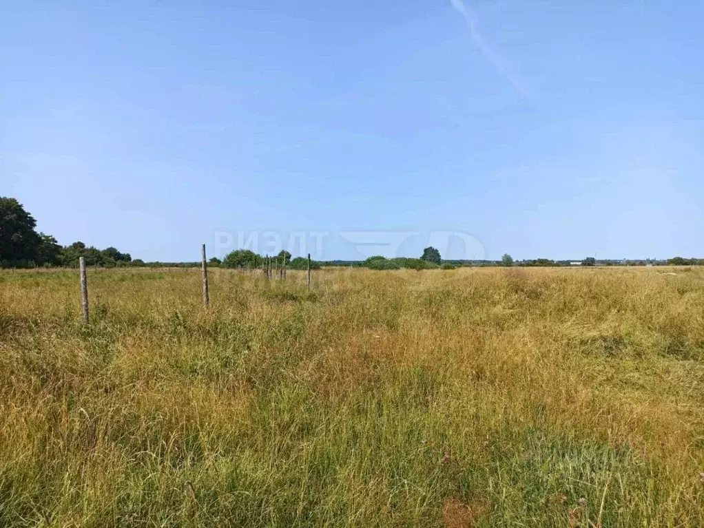 Участок в Калининградская область, Багратионовский муниципальный ... - Фото 2