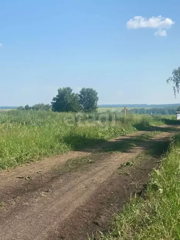 Участок в Кемеровская область, Кемеровский муниципальный округ, с. ... - Фото 1