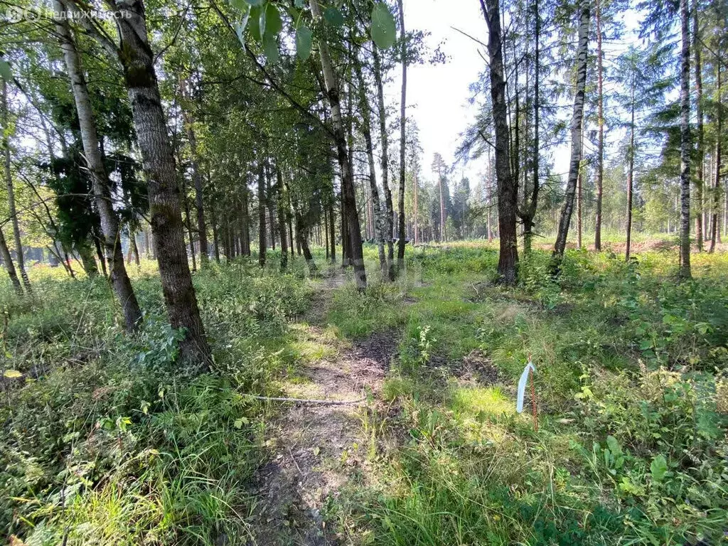 Участок в Елецкий район, село Голиково (105.7 м) - Фото 0