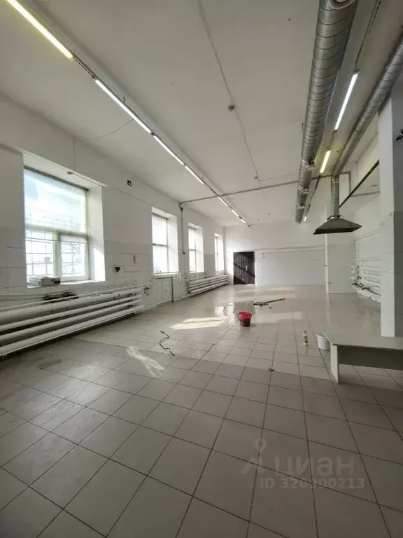 Помещение свободного назначения в Новосибирская область, Новосибирск ... - Фото 1