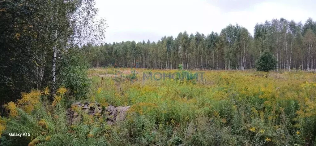 Участок в Нижегородская область, Бор муниципальный округ, д. Заскочиха ... - Фото 2