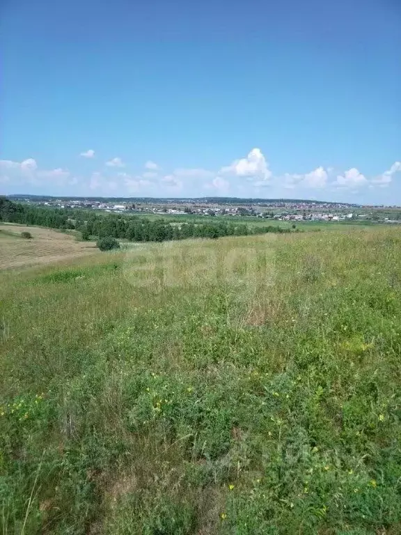 Участок в Красноярский край, Емельяновский муниципальный округ, Луч ... - Фото 1