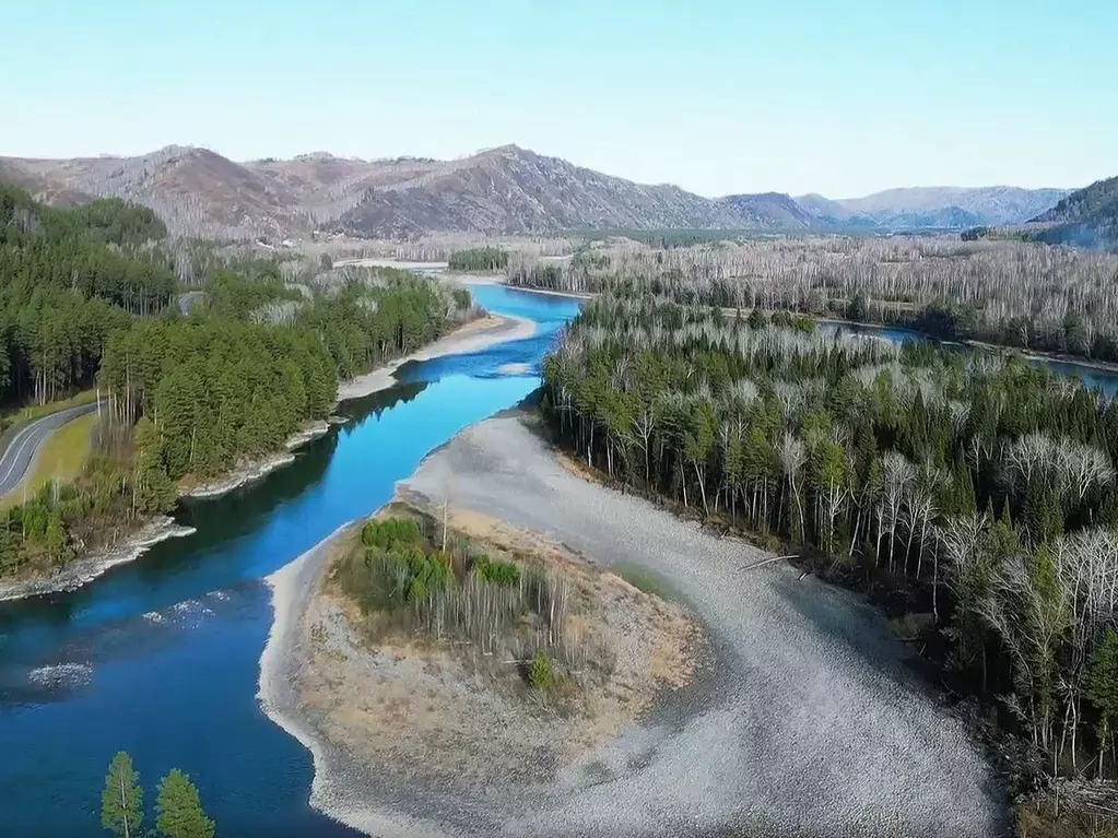 Участок в Алтайский край, Алтайский район, с. Нижнекаянча ул. ... - Фото 2