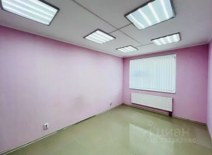 Помещение свободного назначения в Ленинградская область, Кудрово г. ... - Фото 1