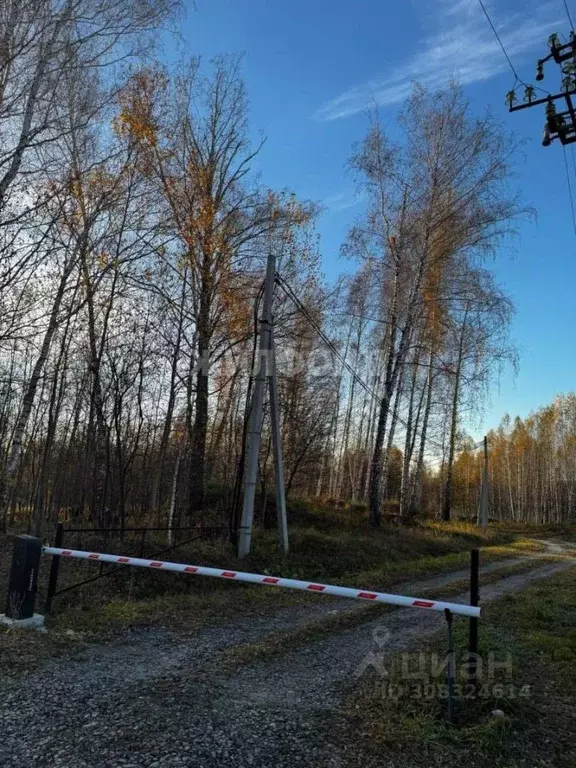 Участок в Новосибирская область, Новосибирский район, Барышевский ... - Фото 0