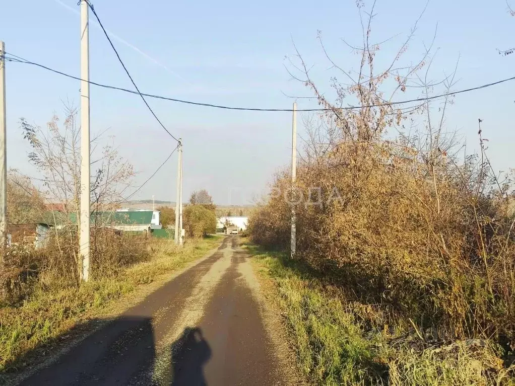 Участок в Кемеровская область, Новокузнецкий муниципальный округ, с. ... - Фото 1