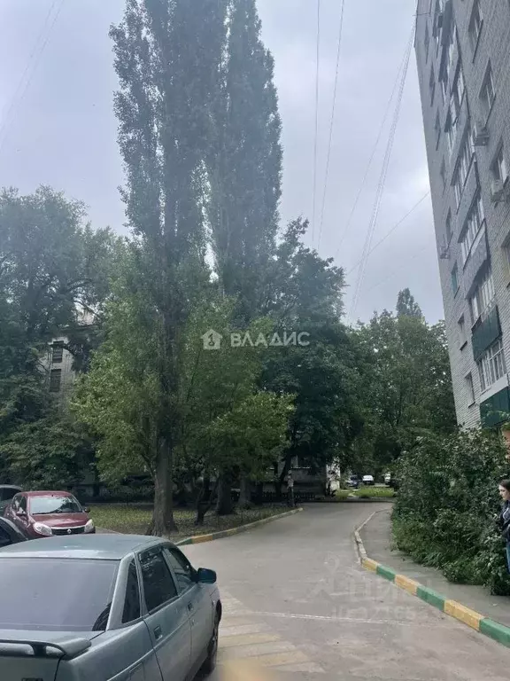 1-к кв. Воронежская область, Воронеж ул. Варейкиса, 68 (35.9 м) - Фото 1